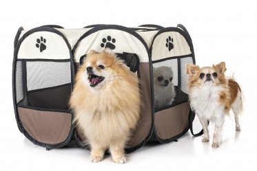 Dog Portable Playpens