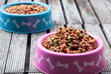 Dog Food Myths