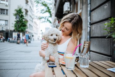 Least Smelly Dog Breeds