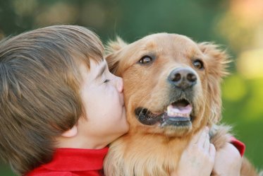 Can Humans Get Worms from Dogs?